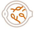 Diabetic Retinopathy